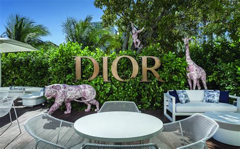 dior store design district|miami Dior cafe.